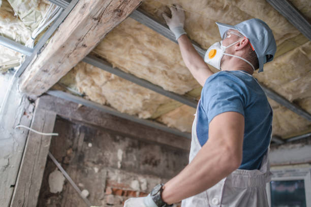 Best Insulation Maintenance and Repair in Spurgeon, TN